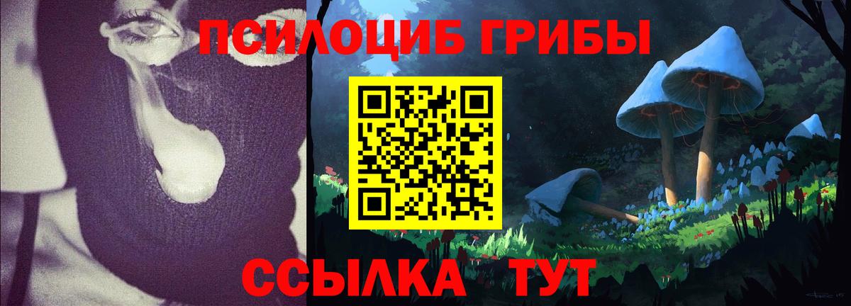 Псилоцибиновые грибы мухоморы  Вход с VPN  Галлюциногенные грибы Psilocybine cubensis  Удомля 
